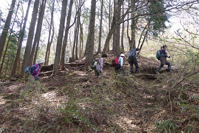 4/9　スミレオフ会　2016_d0288144_17150532.jpg