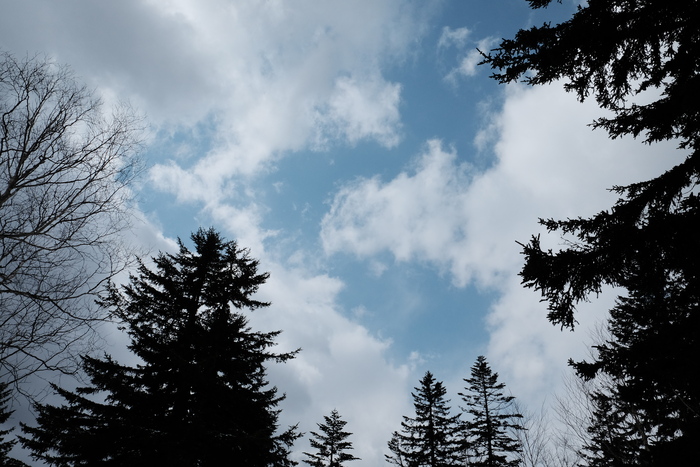 c0162846_1922578.jpg