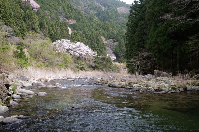 d0247247_2149186.jpg