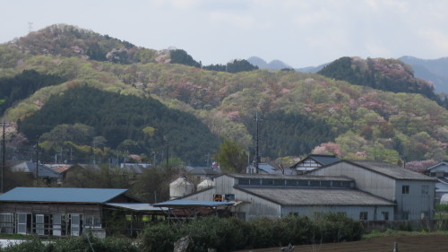 f0352451_10020849.jpg