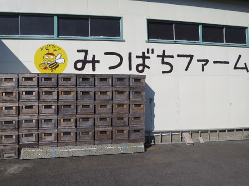 f0352451_10565131.jpg