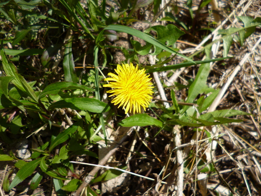 d0231858_7212080.jpg