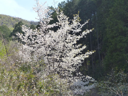 d0231858_7222411.jpg