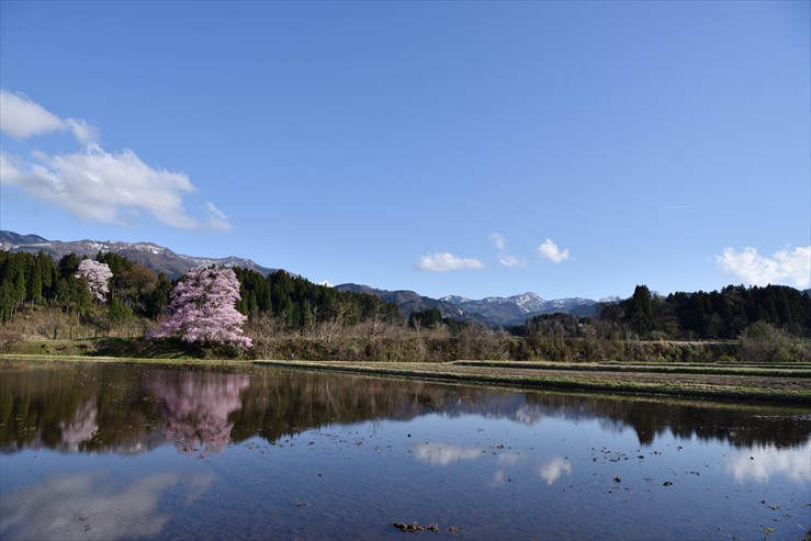 石川・富山旅行　その7_e0170058_1974237.jpg