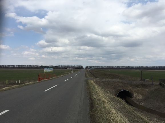 a0337860_12553840.jpeg