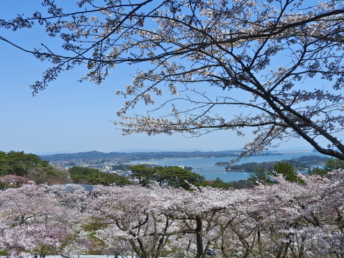 アオイちゃんへ_c0260460_17533887.jpg