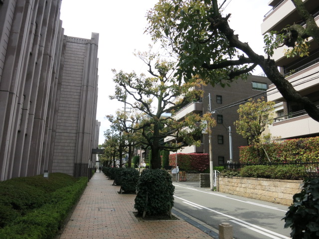 f0236260_1727455.jpg
