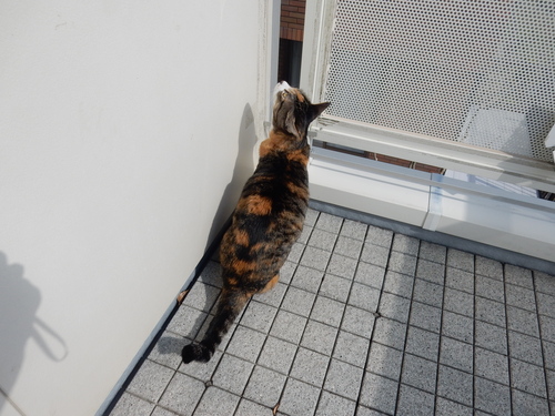 ’16,4,12(火)三越で「春の院展」とおしゃべり_f0060461_9555943.jpg