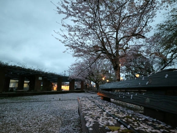 e0340364_16055690.jpg