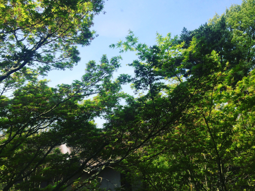 さむ〜い1日⭐️_c0151965_11402681.jpg