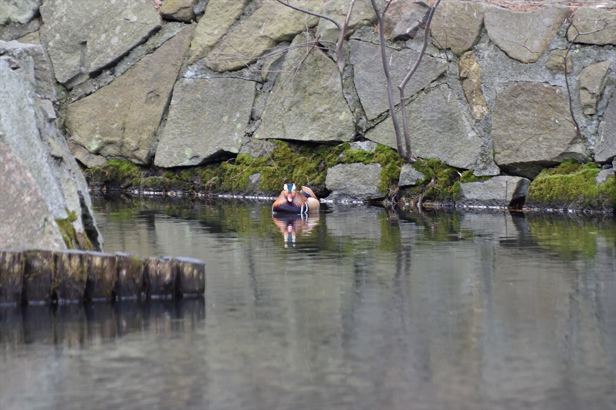 b0281366_13393458.jpg