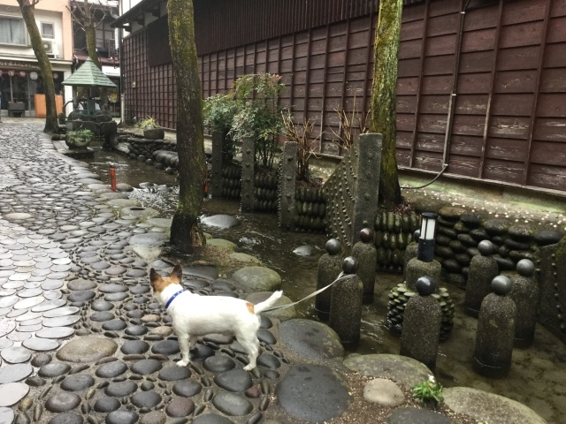 郡上八幡 街歩き_a0118079_18205216.jpeg