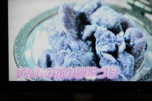 スミレの花の砂糖漬け すきな ことに かこまれて