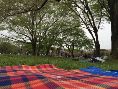 f0344794_23423336.jpeg
