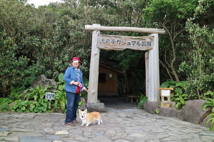 屋久島への旅　その３　島一周した！_f0075595_01431709.jpg