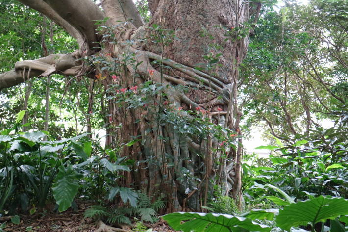 f0075595_01444180.jpg