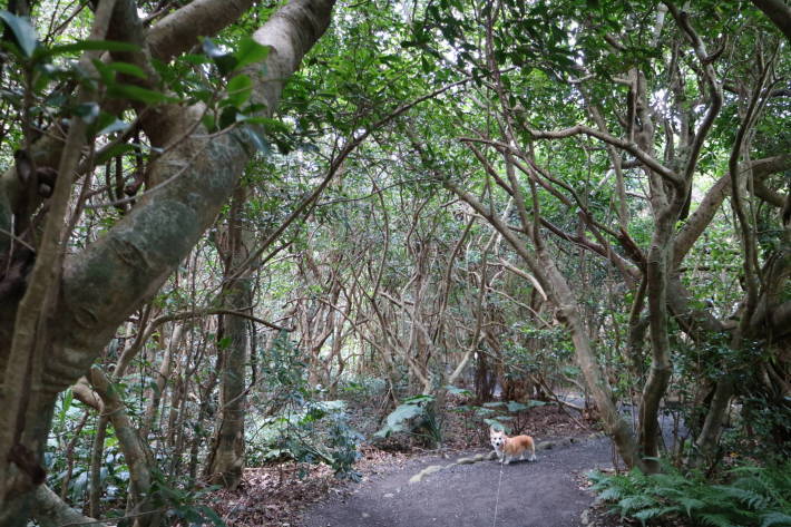 f0075595_01482042.jpg
