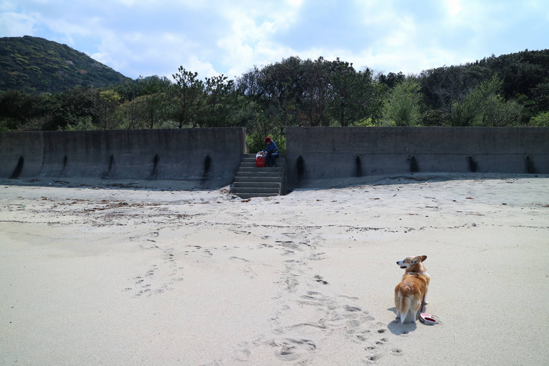 屋久島への旅　その３　島一周した！_f0075595_01505462.jpg