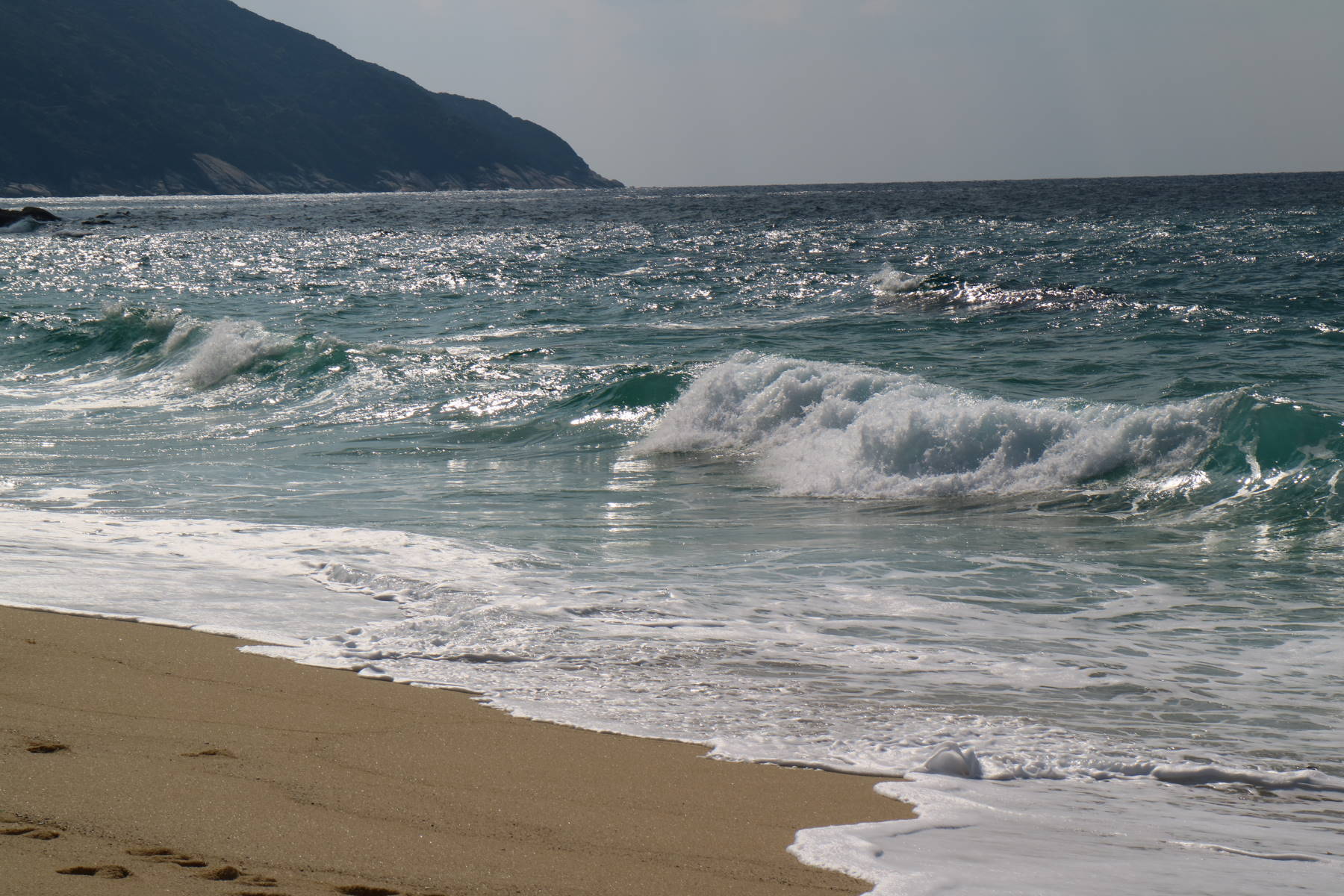 屋久島への旅　その３　島一周した！_f0075595_01575963.jpg