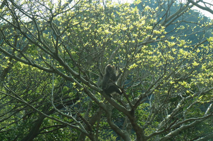 f0075595_02001026.jpg