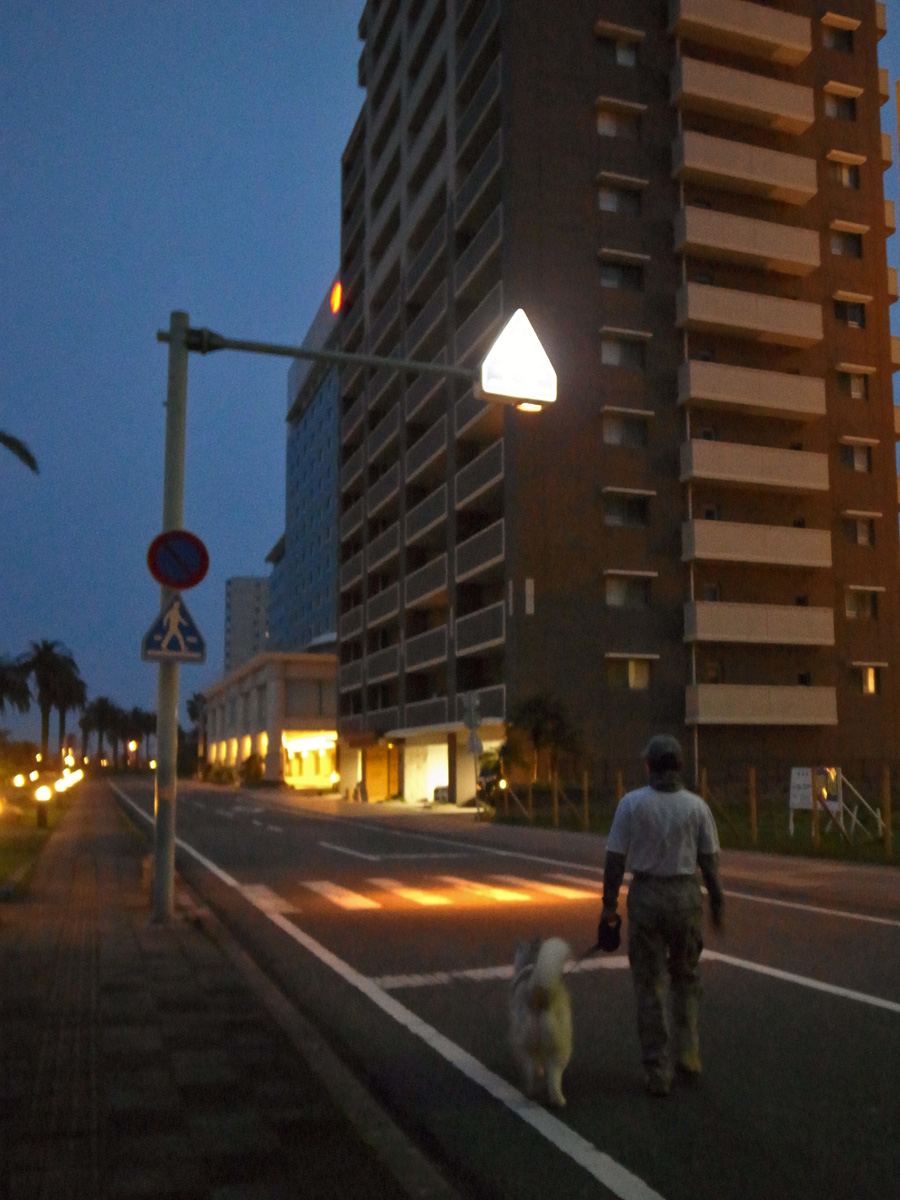 c0049299_2216756.jpg
