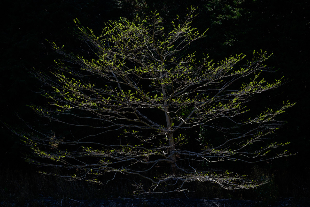 d0200900_04627.jpg
