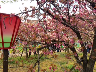 a0050302_3295791.jpg