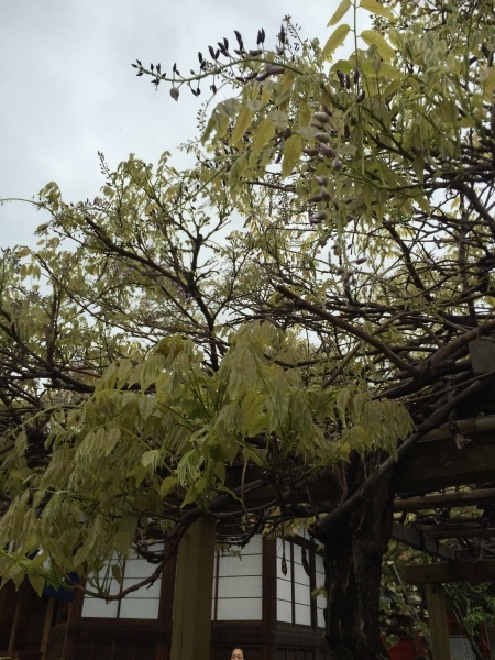 玉津島神社_c0367107_21312454.jpg