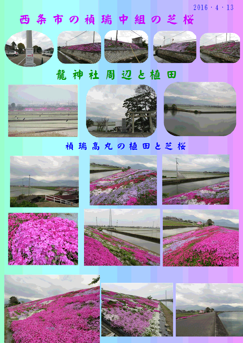 f0231709_1958080.gif