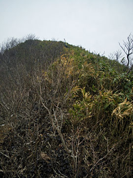 よも太郎山1581m、願教寺山1690mテレマーク_a0133014_18274841.jpg