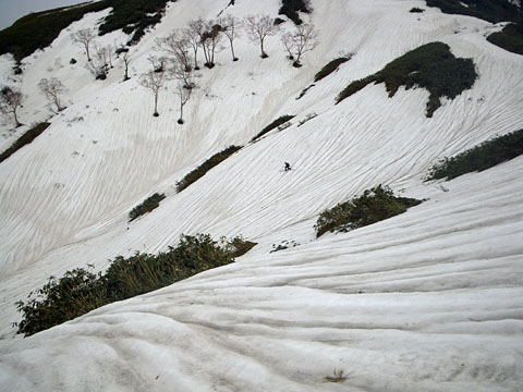 よも太郎山1581m、願教寺山1690mテレマーク_a0133014_18292283.jpg