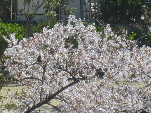 f0248616_21175930.jpg