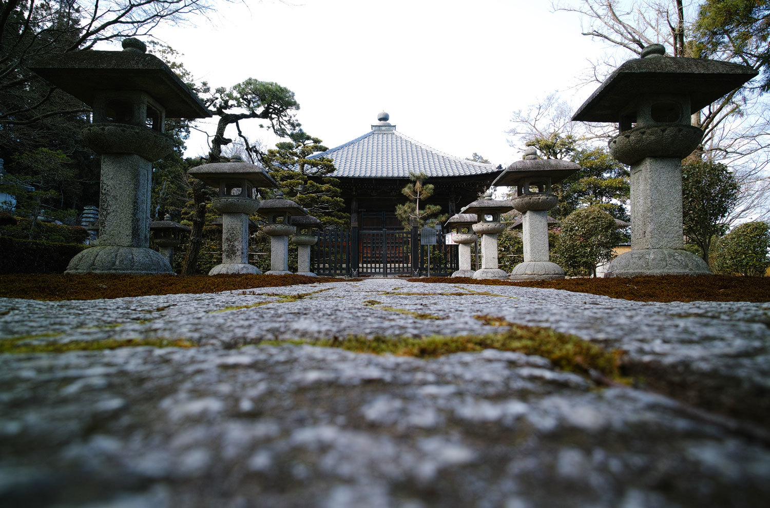 c0364825_05371697.jpg