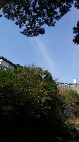 a0324226_8281995.jpg