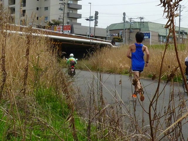 おにゃじ〝第３４回横浜ロードレース”を走る　part３_b0166128_18344058.jpg