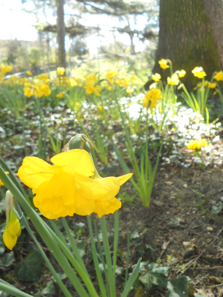e0300042_330203.jpg