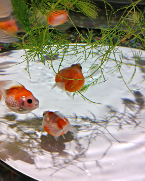 春のお泊り会_b0016049_00113641.jpg
