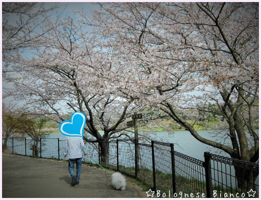 d0118050_14202033.png