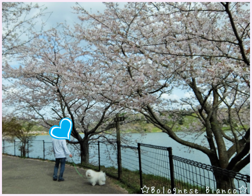 d0118050_14211983.png
