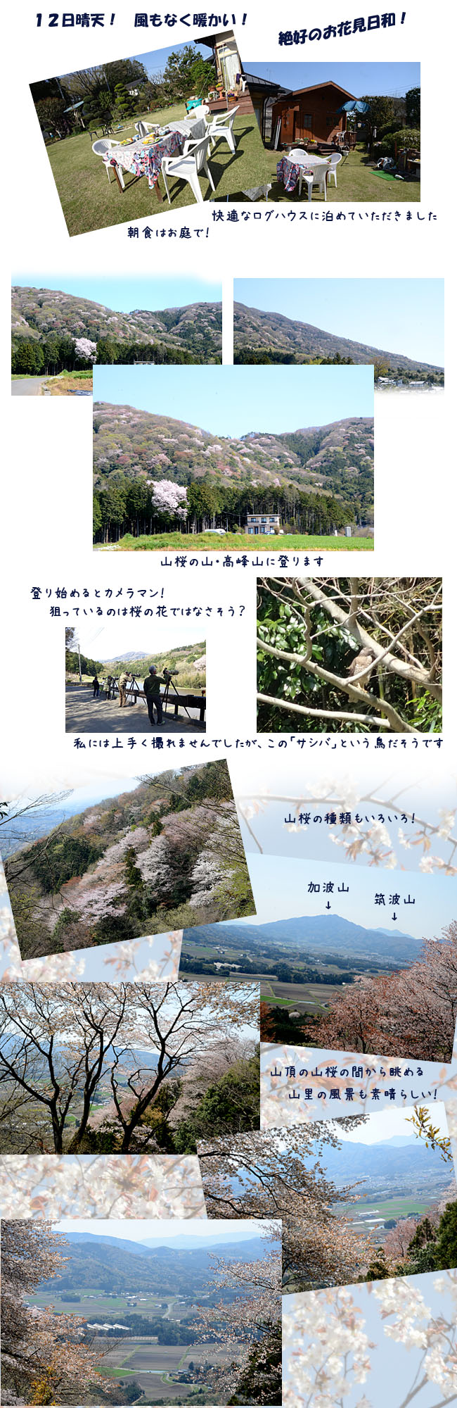 　　国営ひたち海浜公園　　と　　桜川の山桜_e0020954_23134040.jpg