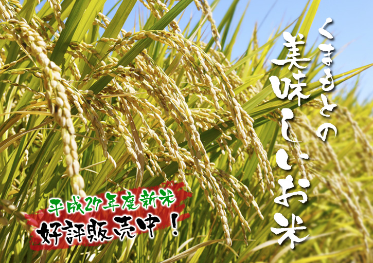砂田米　れんげを肥料に使った「砂田のこだわりれんげ米」大好評発売中！今年もれんげが咲き誇ってます!!_a0254656_1925340.jpg