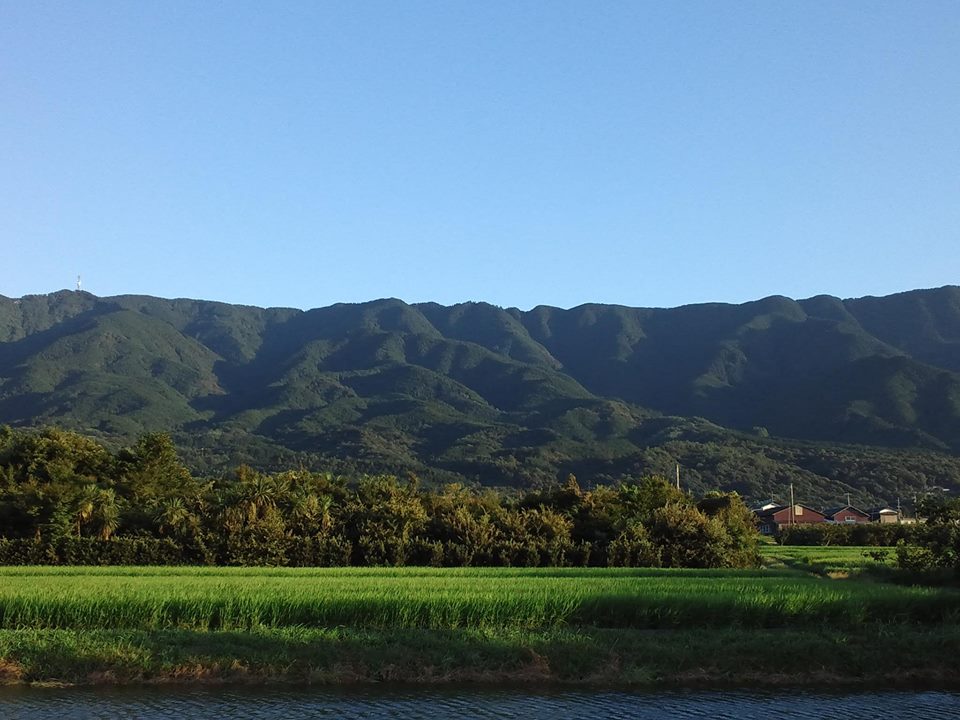 a0169558_2027621.jpg