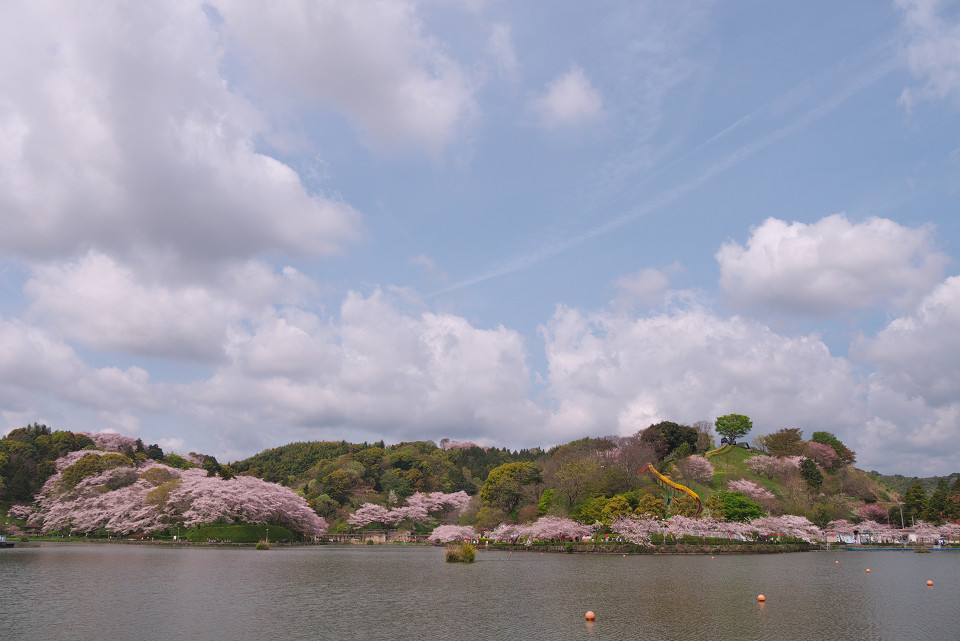 桜の名所へ_f0072758_20565139.jpg