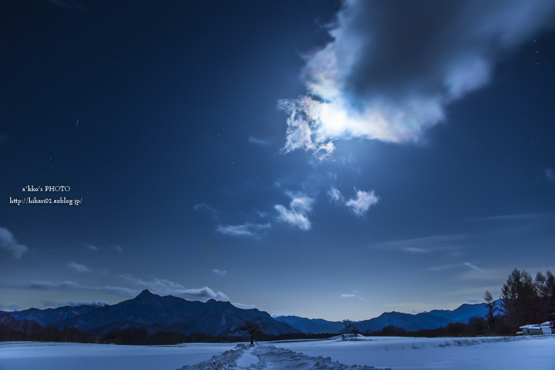 moonlight-snow-STORY_e0342760_01321896.jpg