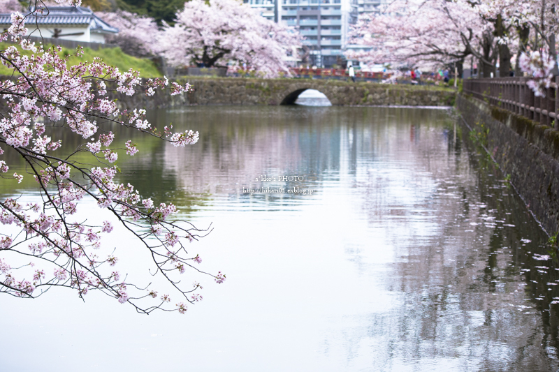 ODAWARA:SAKURA_e0342760_02331383.jpg