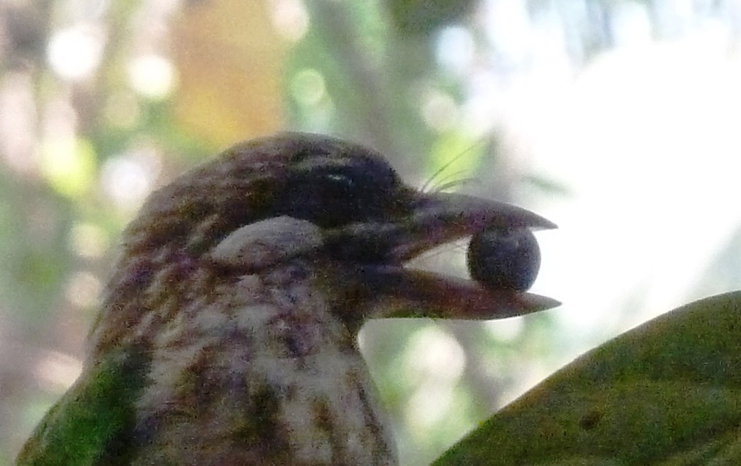b0336962_22360293.jpg