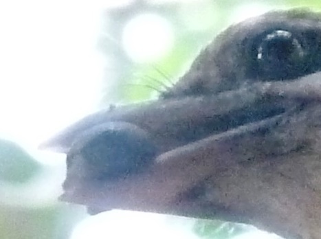 b0336962_22365369.jpg