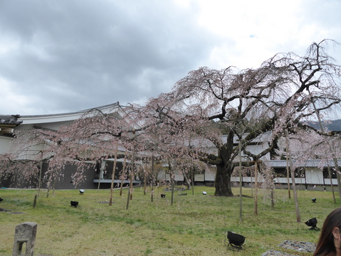 吉野への旅_a0117168_9455396.jpg