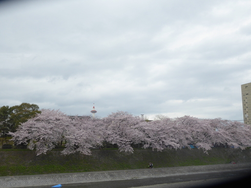 吉野への旅_a0117168_9461439.jpg