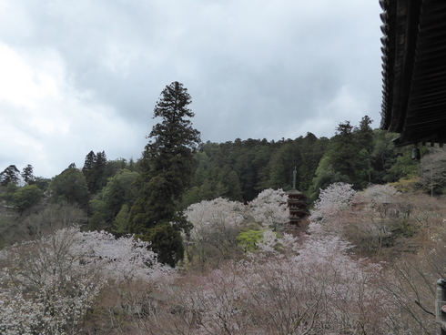 吉野への旅_a0117168_9484100.jpg